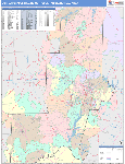 Durham-Chapel Hill Metro Area Wall Map Color Cast Style
